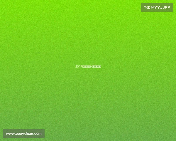 2017金港赛道赛事-金港赛道成绩