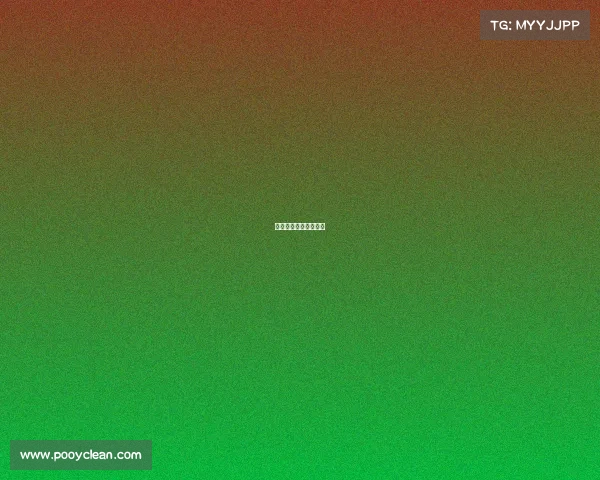 上海绿地申花最新引援