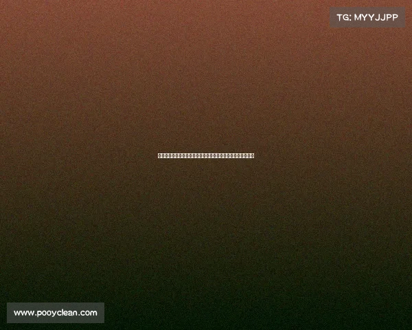 全面掌握赛车赛事运作核心要素包括组织协调风险管理执行细节